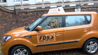 Fake Driving School rá spriccelek a termetes néger faszodra