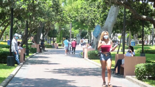 Fullos méretes kannás venezuelai szuka